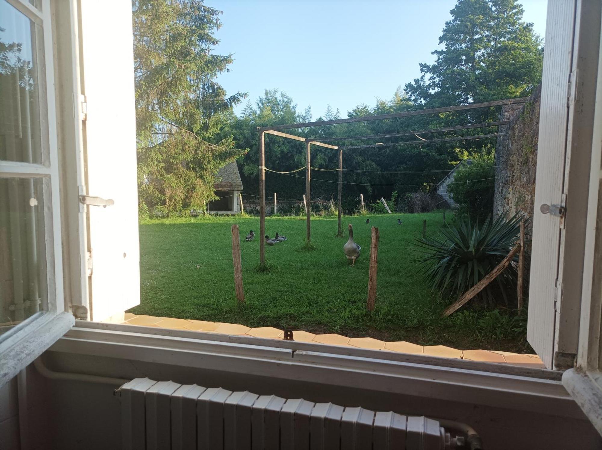 La Maison Au Bord De L'Eau Gracay Kültér fotó