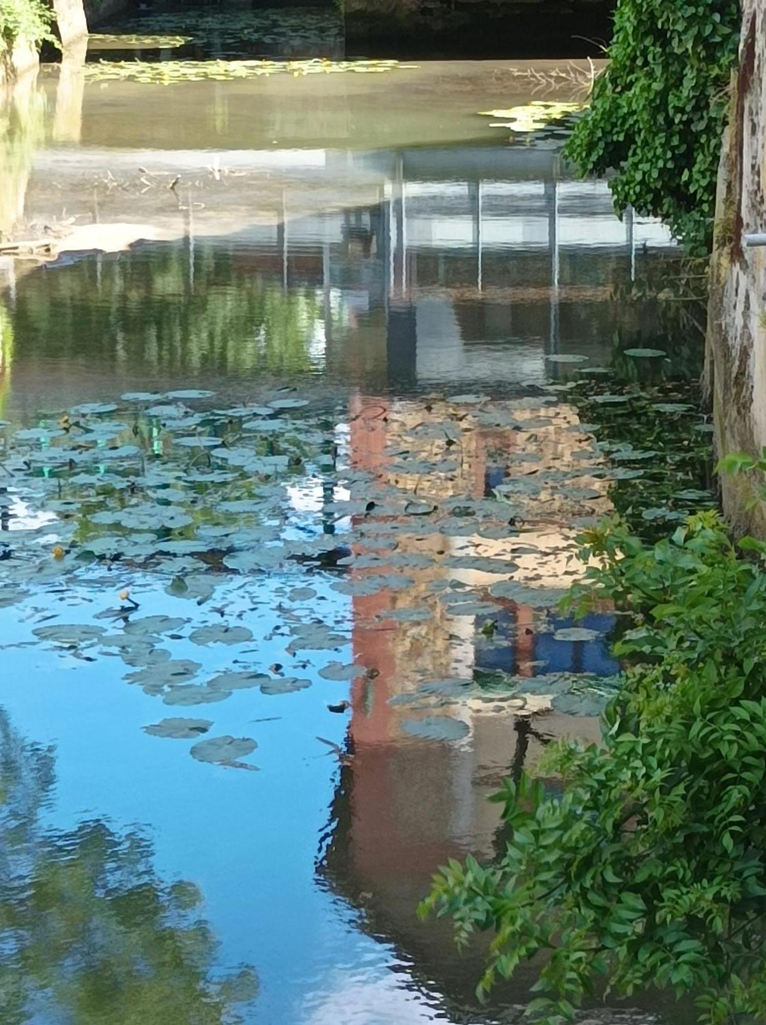 La Maison Au Bord De L'Eau Gracay Kültér fotó
