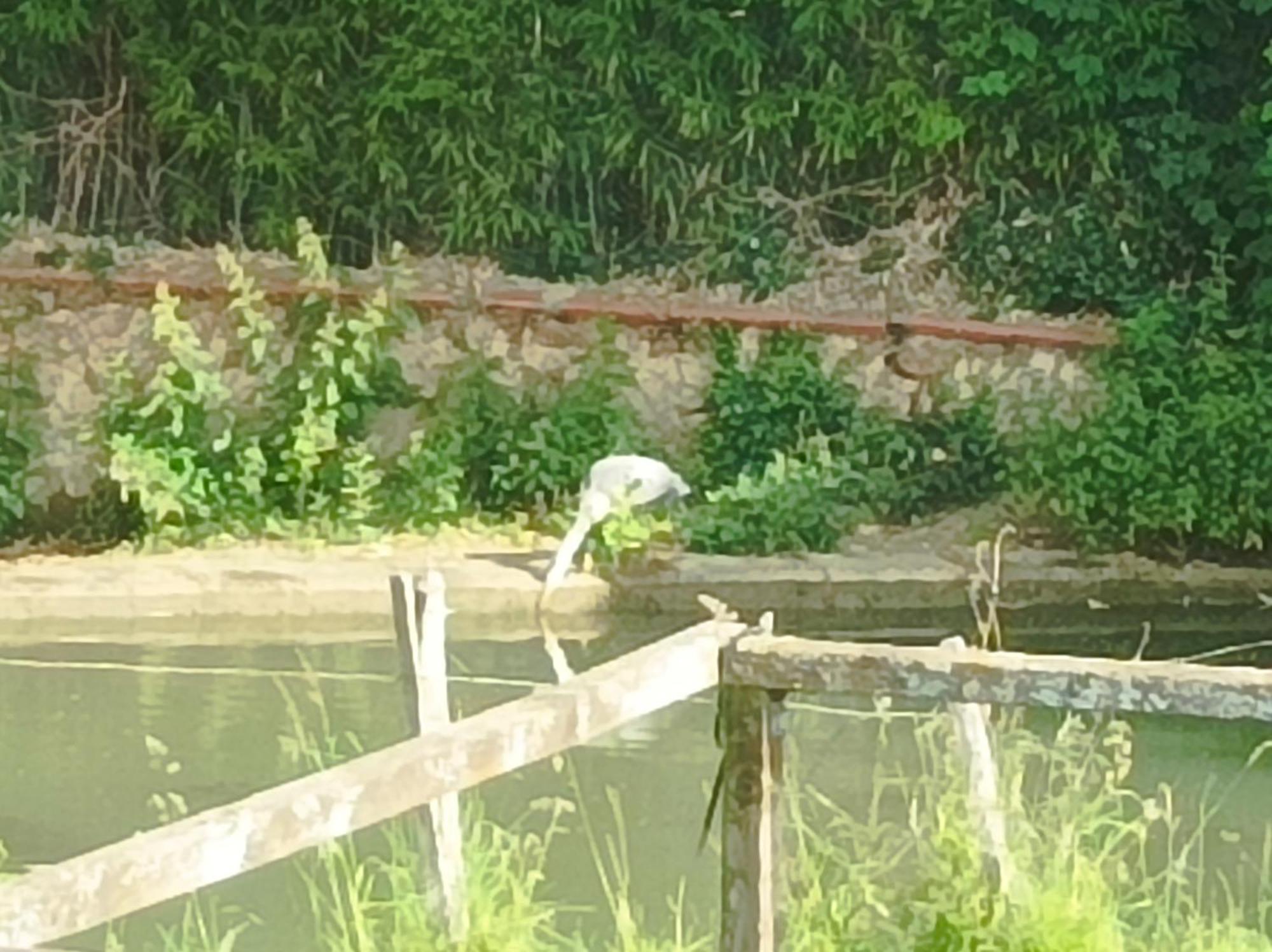 La Maison Au Bord De L'Eau Gracay Kültér fotó