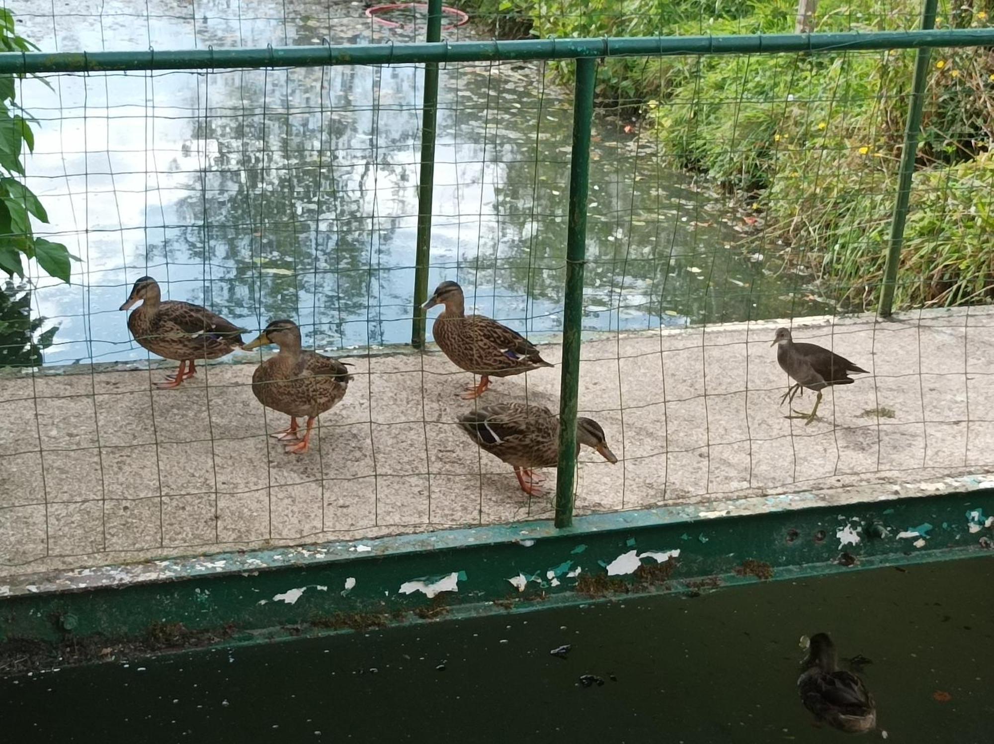 La Maison Au Bord De L'Eau Gracay Kültér fotó